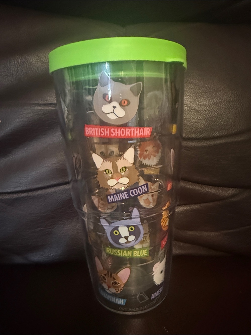Tervis cat tumbler 24 oz